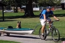 Sự thật sau chuyện người đàn ông chuyên chở cún cưng sau xe 