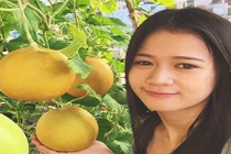 “Phát thèm” giàn dưa lưới trĩu quả của 9X Sài Thành