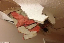 Hốt hoảng thấy phân từ máy bay rơi thủng mái nhà