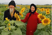 Sốt mạng ảnh cụ ông nắm tay cụ bà ngắm hoa hướng dương