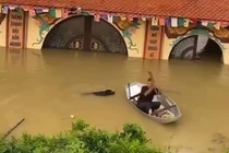 Xót xa người đàn ông đuối nước khi cố gắng cứu chú chó trong nước lũ 