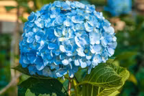 Người sinh ngày này nếu có chí tiến thủ, tiền tài dư dả