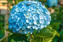 Người sinh ngày này nếu có chí tiến thủ, tiền tài dư dả