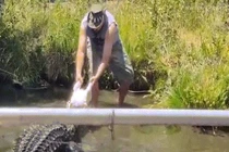 Thót tim chứng kiến cảnh người đàn ông trượt chân, cá sấu 270kg lao tới