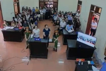 Vụ cô giáo chiếm đoạt 45 triệu bị tuyên phạt 5 năm tù: Có được giảm án?