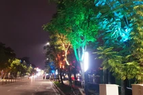 Hải Dương: “Cây đổi màu” trên phố đi bộ, chợ đêm Bạch Đằng