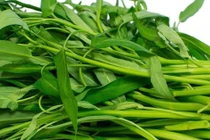Những người không nên ăn rau muống, kẻo rước họa vào thân
