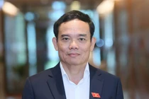 Chân dung tân Phó Thủ tướng Trần Lưu Quang