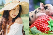 3 con giáp nữ vượng phu ích tử, khôn ngoan, đảm đang