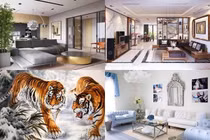 Phòng khách nên tránh 5 thứ này để không ảnh hưởng tới tài vận