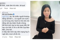 Cát Phượng lên tiếng đáp trả thẳng thắn khi bị anti fan tấn công
