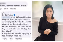 Cát Phượng lên tiếng đáp trả thẳng thắn khi bị anti fan tấn công