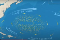 Loạt bí ẩn ở biển duy nhất trên thế giới không có bờ