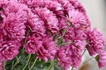 3 con giáp được Thần Tài ưu ái, đầu tháng 7 lộc rơi ngay cửa