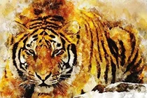 Từ 3- 9/7, 3 con giáp may mắn về tiền bạc, Thần Tài ban tài lộc