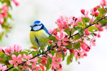 Người sinh ngày Âm lịch này thích mạo hiểm, khai phá nhiều thành công