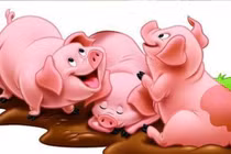 Từ 17- 27/12, ba con giáp được Thần tài che chở, sự nghiệp thăng hoa