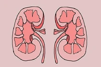 Người thận khỏe, sinh lý tốt có 3 bộ phận này ấm nóng