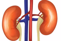 3 vị trí đau cảnh báo bệnh thận cần lưu ý