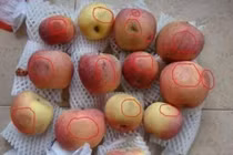 Hai vợ chồng cùng mắc ung thư gan vì thứ ngoài chợ bán đầy