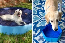 Khóc cười trước thảm họa mua hàng online, xem xong ngại chốt đơn