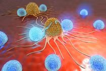 Bất ngờ 5 loại thực phẩm khiến tế bào ung thư "khiếp sợ"