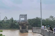 Đề xuất xây mới cầu Phong Châu bằng vốn ngân sách Nhà nước