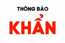 Hà Nội khẩn cấp tìm người từng đến mua trứng tại chợ đầu mối Đền Lừ