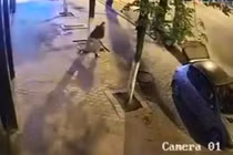 Sửng sốt với quý ông đi xế hộp ăn trộm gạch