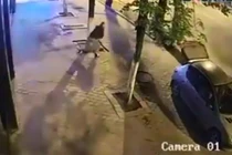 Sửng sốt với quý ông đi xế hộp ăn trộm gạch