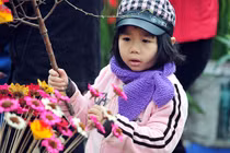 Toàn cảnh thời tiết Tết Đinh Dậu 2017 trên cả nước