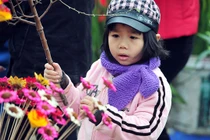 Toàn cảnh thời tiết Tết Đinh Dậu 2017 trên cả nước