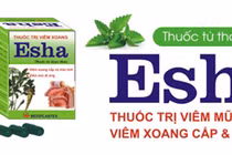 Thảo dược trị viêm mũi dị ứng, viêm xoang
