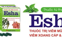 Thảo dược trị viêm mũi dị ứng, viêm xoang