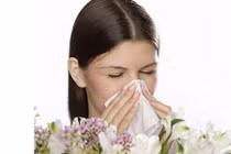 Đặc trị viêm mũi dị ứng, viêm xoang từ bài thuốc cổ