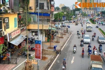 Nhà KH nói cây mỡ, Sở Xây dựng khăng khăng vàng tâm