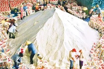 Đề nghị điều tra sai phạm ở TCT Lương thực Miền Nam