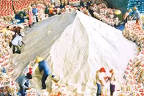 Đề nghị điều tra sai phạm ở TCT Lương thực Miền Nam