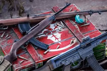 Ảnh đẹp mãn nguyện các loại súng trường trong CTTG2