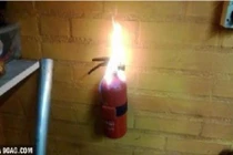 Vừa cười vừa sợ khoảnh khắc đen đủi cực ám ảnh