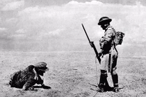 Toàn cảnh sự khốc liệt mặt trận Bắc Phi trong CTTG 2