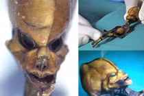 Bí ẩn động trời về bộ xương người dài 10 cm