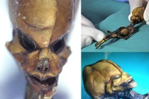Bí ẩn động trời về bộ xương người dài 10 cm