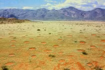 10 bí ẩn hiếm có khó tin chỉ xuất hiện trên sa mạc