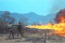 Tại sao súng phun lửa càng ngày càng bị thất sủng?