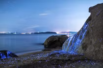 Kỳ quái những tảng đá phát sáng khi đêm xuống ở Nhật