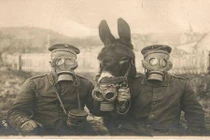 Phát hoảng những bức hình cả xã hội đeo mặt nạ phòng độc