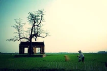 Loạt ảnh làng quê Việt Nam đẹp như thời bao cấp