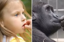 Chết cười khi biểu cảm của bé giống hệt... động vật