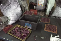 Phó Thủ tướng: Xử lý nghiêm thuốc hỗ trợ điều trị ung thư từ than tre Vinaca 